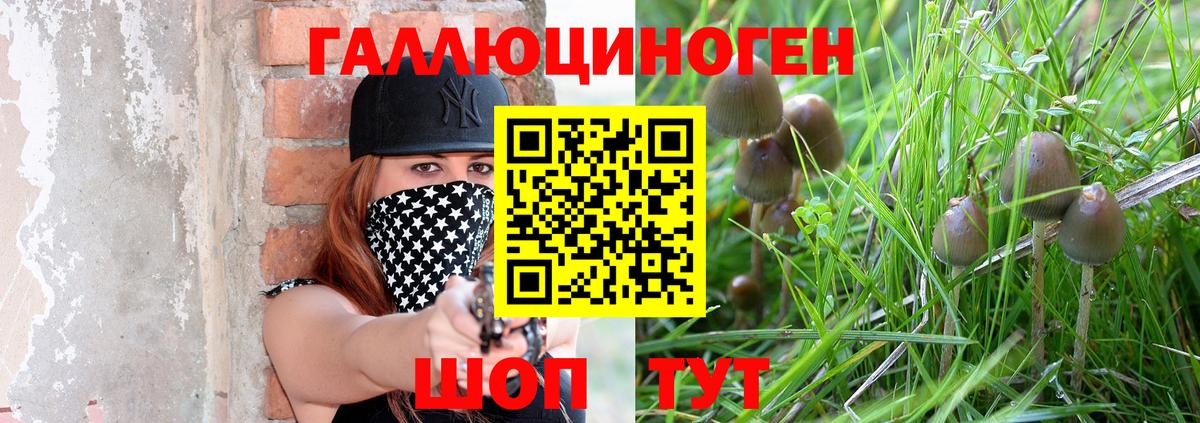 Псилоцибиновые грибы мицелий Кулебаки